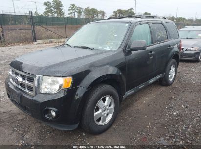 Lot #3045352020 2012 FORD ESCAPE XLT