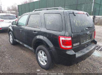 Lot #3045352020 2012 FORD ESCAPE XLT