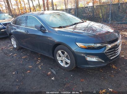 Lot #3034051934 2019 CHEVROLET MALIBU 1LS