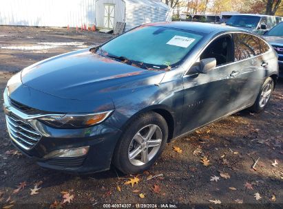 Lot #3034051934 2019 CHEVROLET MALIBU 1LS