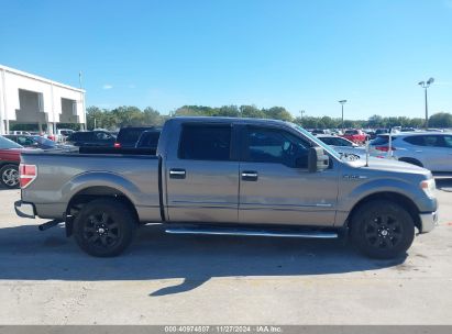 Lot #3034052289 2014 FORD F-150 XLT