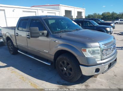 Lot #3034052289 2014 FORD F-150 XLT