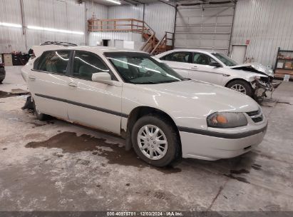 Lot #3035081626 2004 CHEVROLET IMPALA