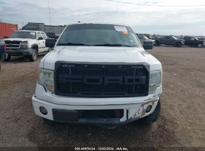 Lot #3053068404 2009 FORD F-150 STX