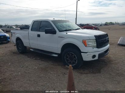 Lot #3053068404 2009 FORD F-150 STX