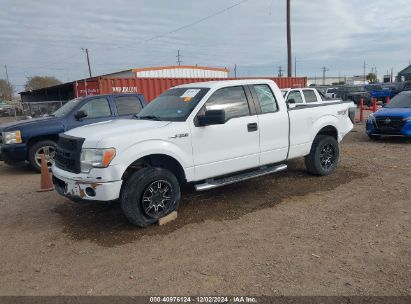 Lot #3053068404 2009 FORD F-150 STX