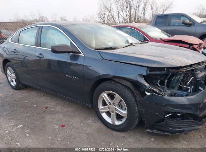 Lot #3037539362 2020 CHEVROLET MALIBU FWD LS