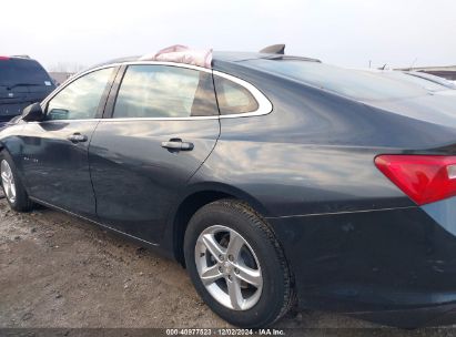 Lot #3037539362 2020 CHEVROLET MALIBU FWD LS