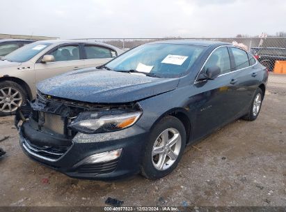 Lot #3037539362 2020 CHEVROLET MALIBU FWD LS