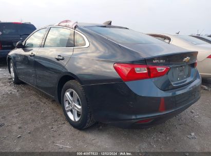 Lot #3037539362 2020 CHEVROLET MALIBU FWD LS