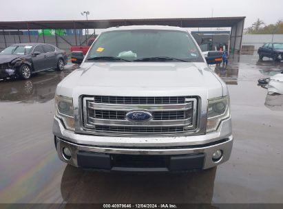 Lot #3035081480 2014 FORD F-150 XLT