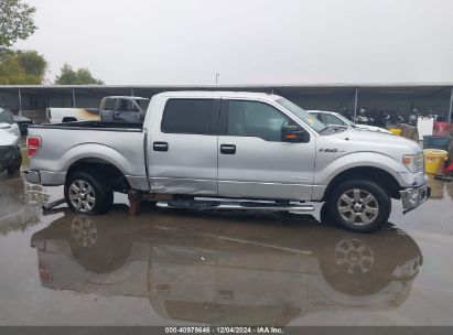 Lot #3035081480 2014 FORD F-150 XLT