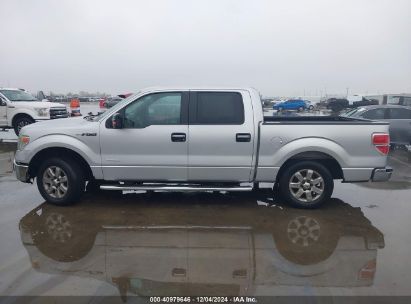 Lot #3035081480 2014 FORD F-150 XLT