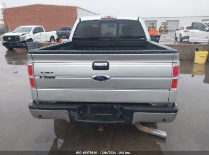 Lot #3035081480 2014 FORD F-150 XLT