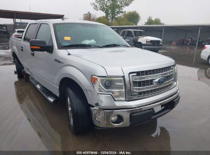 Lot #3035081480 2014 FORD F-150 XLT