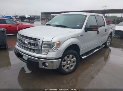 Lot #3035081480 2014 FORD F-150 XLT