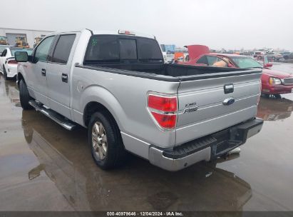 Lot #3035081480 2014 FORD F-150 XLT