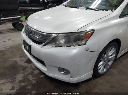 Lot #3037524667 2010 LEXUS HS 250H PREMIUM