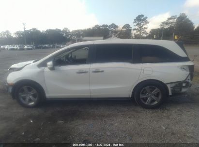 Lot #3052073612 2019 HONDA ODYSSEY EX-L