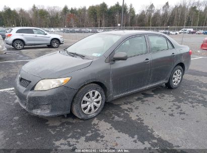 Lot #3034051832 2010 TOYOTA COROLLA LE