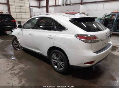 Lot #3051079259 2014 LEXUS RX 350