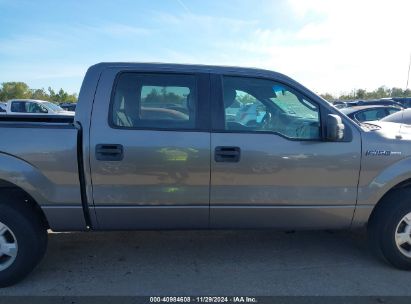 Lot #3034053593 2014 FORD F-150 XLT