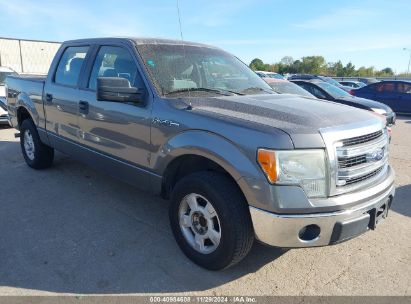 Lot #3034053593 2014 FORD F-150 XLT