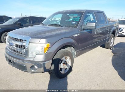 Lot #3034053593 2014 FORD F-150 XLT