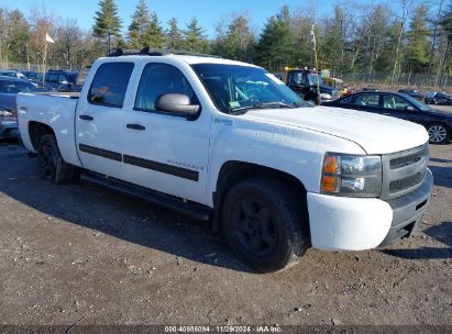 Lot #3058075117 2009 CHEVROLET SILVERADO 1500 HYBRID 1HY