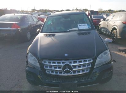 Lot #3056470942 2010 MERCEDES-BENZ ML 350