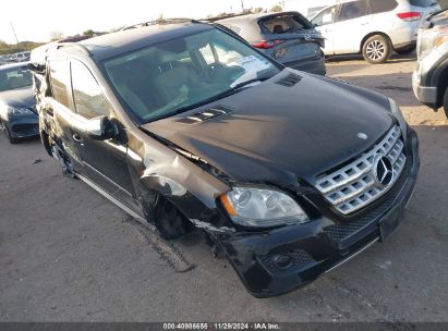 Lot #3056470942 2010 MERCEDES-BENZ ML 350