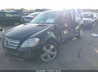 Lot #3056470942 2010 MERCEDES-BENZ ML 350