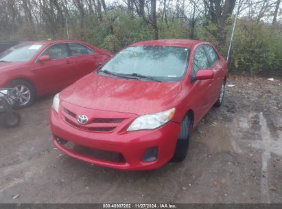 Lot #3034052137 2011 TOYOTA COROLLA LE