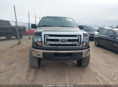 Lot #3035088826 2014 FORD F-150 XLT