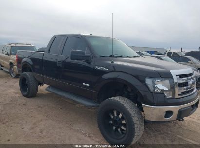 Lot #3035088826 2014 FORD F-150 XLT