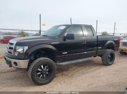 Lot #3035088826 2014 FORD F-150 XLT