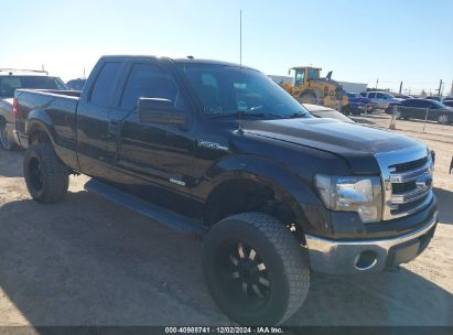 Lot #3035088826 2014 FORD F-150 XLT