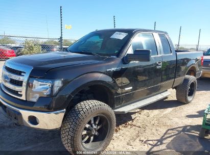 Lot #3035088826 2014 FORD F-150 XLT