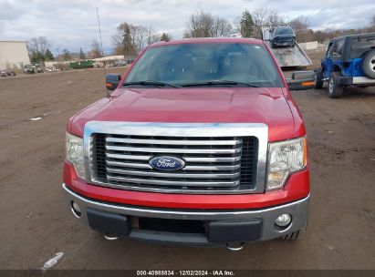 Lot #3052073279 2011 FORD F-150 XLT