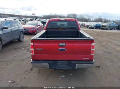 Lot #3052073279 2011 FORD F-150 XLT