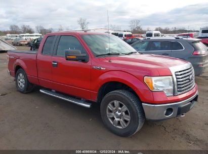 Lot #3052073279 2011 FORD F-150 XLT