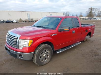 Lot #3052073279 2011 FORD F-150 XLT