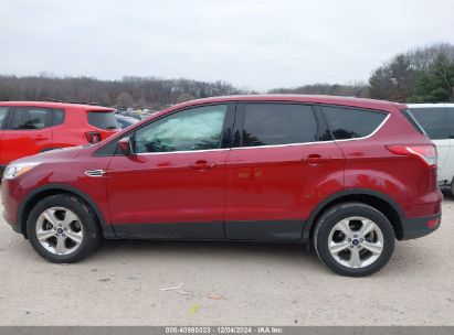 Lot #3035081174 2015 FORD ESCAPE SE