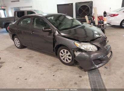 Lot #3034051517 2010 TOYOTA COROLLA LE