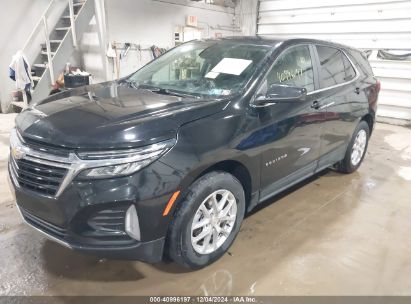 Lot #3034051431 2023 CHEVROLET EQUINOX AWD 2FL