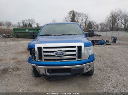 Lot #3052073157 2010 FORD F-150 FX4/LARIAT/XL/XLT