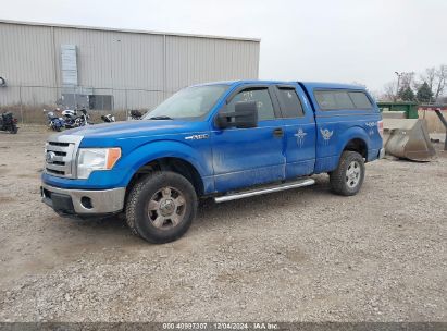 Lot #3052073157 2010 FORD F-150 FX4/LARIAT/XL/XLT