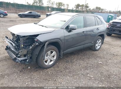 Lot #3052073147 2024 TOYOTA RAV4 HYBRID LE