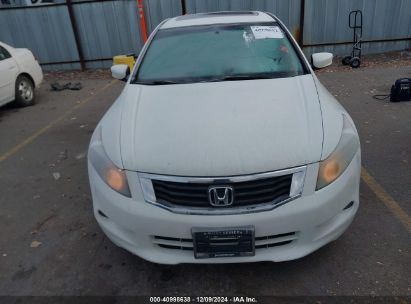 Lot #3035088751 2010 HONDA ACCORD 3.5 EX-L