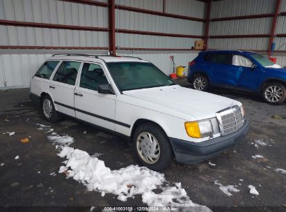 Lot #3035707971 1987 MERCEDES-BENZ 300 TDT